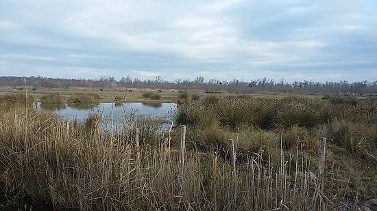 Parc Naturel Regional de Camargue